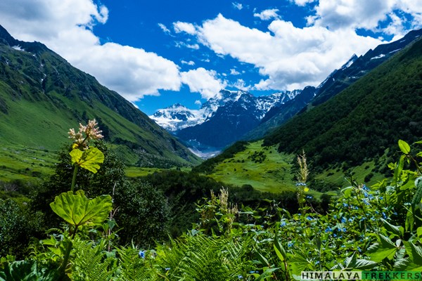 valley-oif-flowers-first-discovered-by-eric-shipton