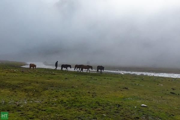 hampta-pass-early-august