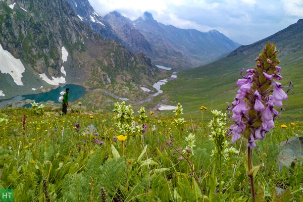 kashmir-great-lakes-best-trek-in-monsoon