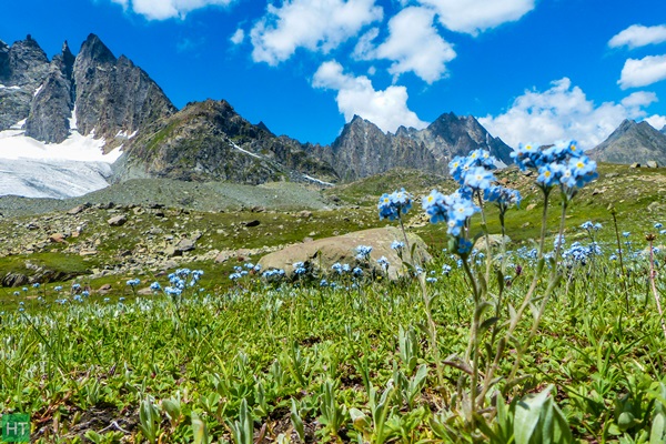 kashmir-valley-in-august