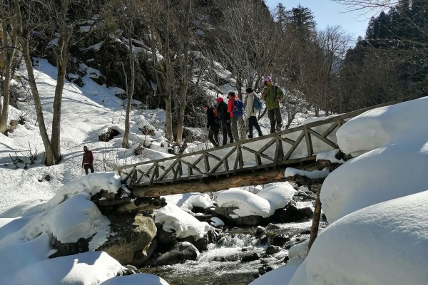 crossing-a-wooden-bridge