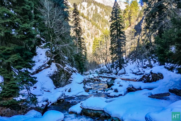 snow-covered-stream-inside-forest
