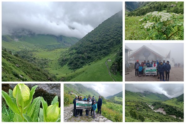 valley-of-flowers-bloom-in-early-july-2022