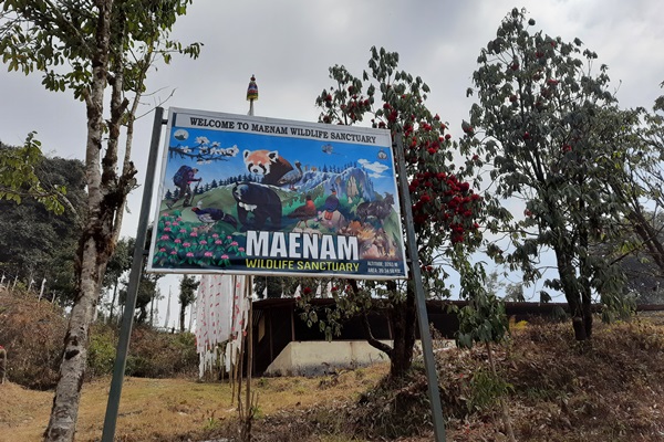 Maenam Trek In Sikkim Autumn And Winter Ht Himalaya Trekkers