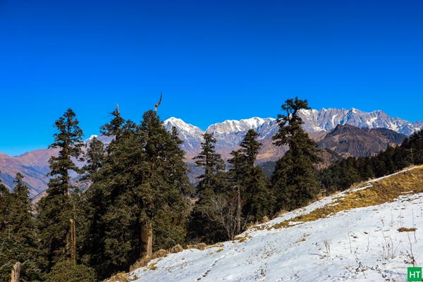 peak-views-on-bagji-bugyal-trail