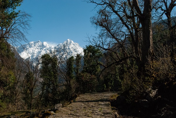 beautiful-trail-leading-towards-pindar-valley