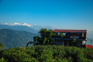 darjeeling-tea-garden-trek-stay-by-himalayan-trekkers-ht