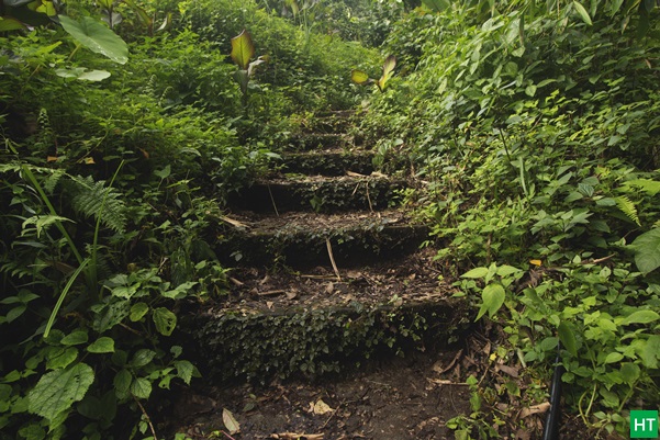 trail-stairs