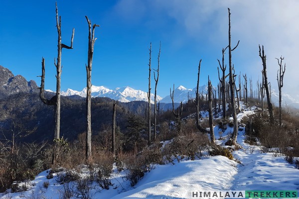 snow-trekking-during-winters-in-sikkim