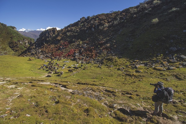 autumn-is-fantastic-time-for-photography-in-mountains