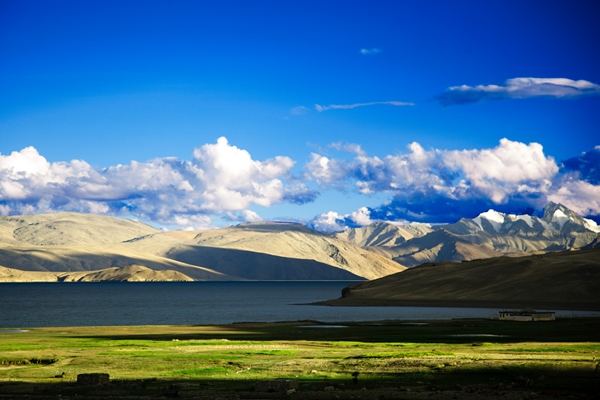 colourful-ladakh-in-monsoon